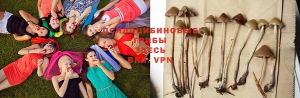 дмт Саяногорск