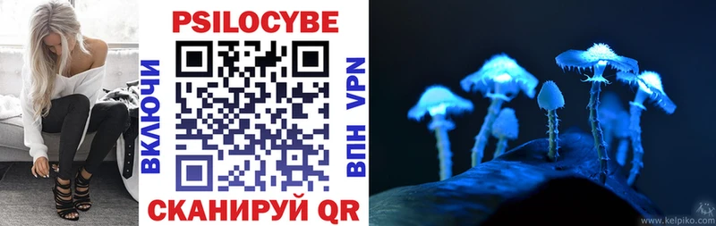 Галлюциногенные грибы Cubensis  Болохово 